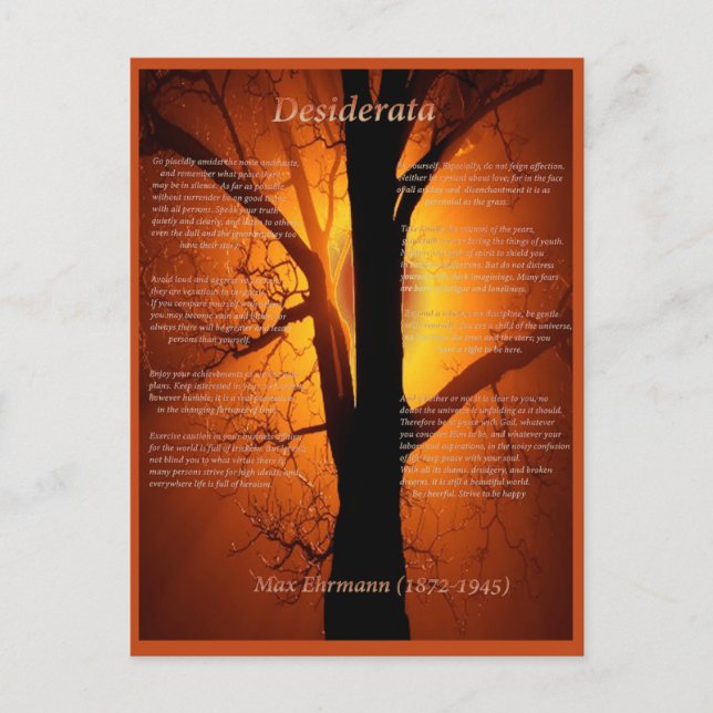 Postal Árbol naranja (Anverso)