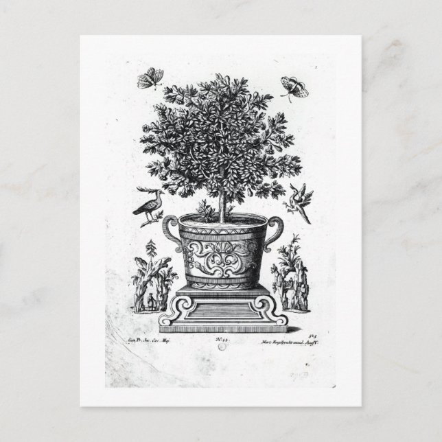Postal Árbol ornamental en una urna en una pequeña etapa  (Anverso)