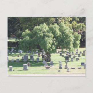 Postal Árbol pacífico