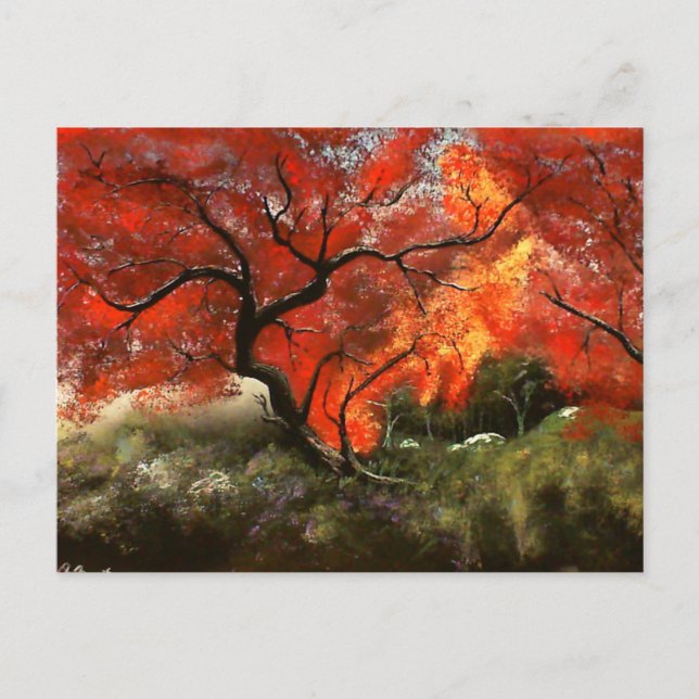 Postal Árbol picnic (Anverso)