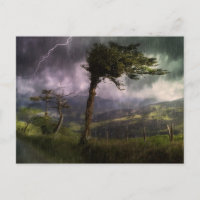 Árbol que sopla en el viento durante una tormenta 