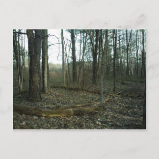 Postal Árbol rodeado por la naturaleza