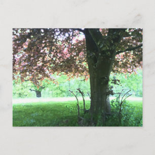 Postal Árbol rojo