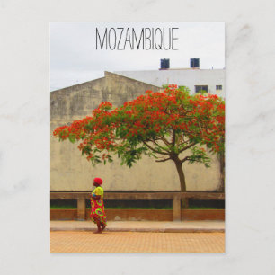 Postal árbol rojo mozambique