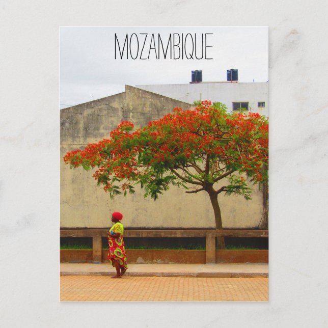 Postal árbol rojo mozambique (Anverso)