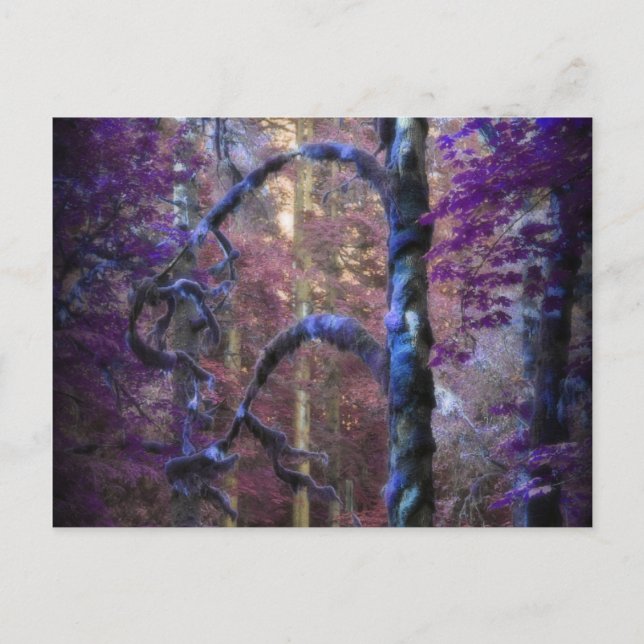Postal Árbol sagrado (Anverso)