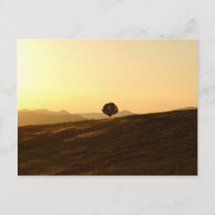 Postal Árbol solitario