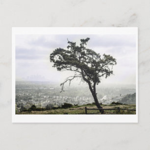 Postal Árbol solitario Freakin