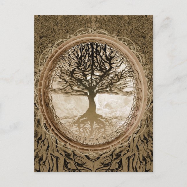Postal Árbol viviente pacífico (Anverso)