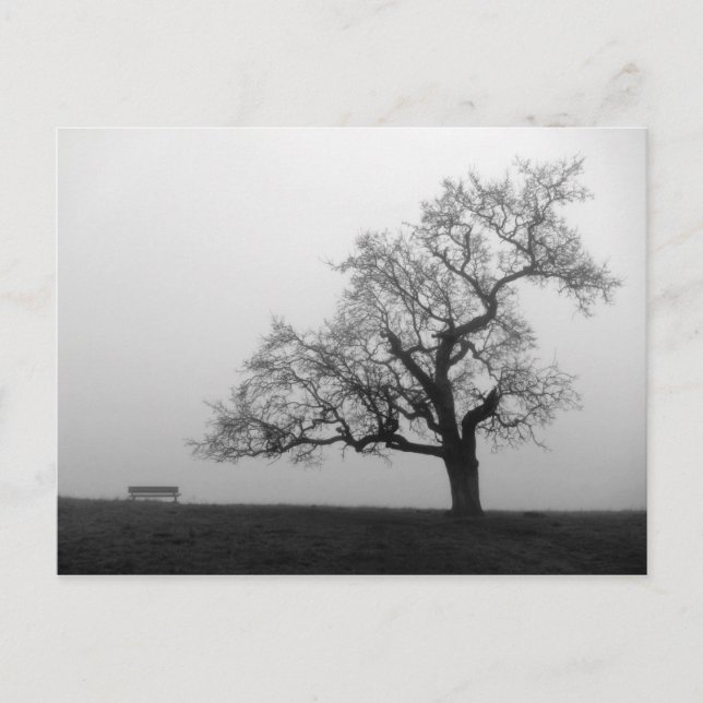 Postal Árbol y banco en niebla (Anverso)