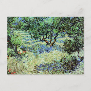 Postal Arboleda de olivos de Vincent van Gogh
