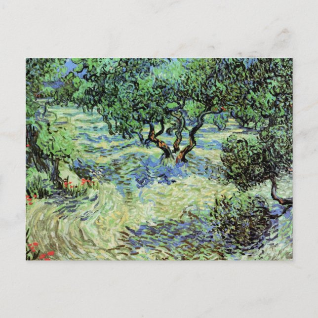 Postal Arboleda de olivos de Vincent van Gogh (Anverso)