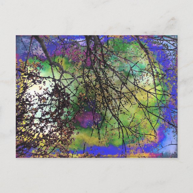Postal Árboles (Anverso)