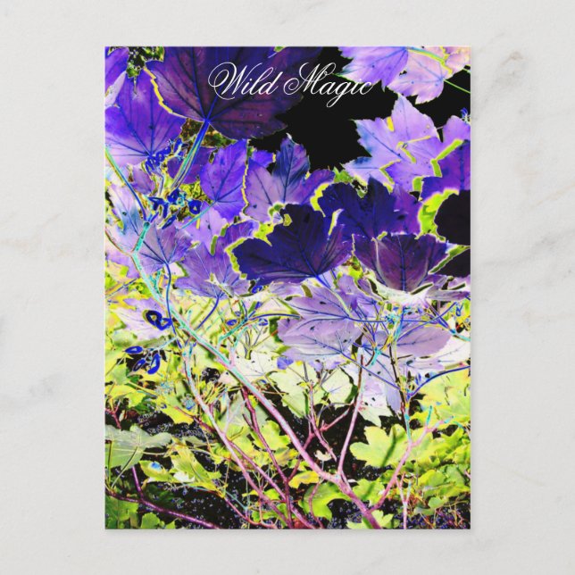 POSTAL ÁRBOLES (Anverso)