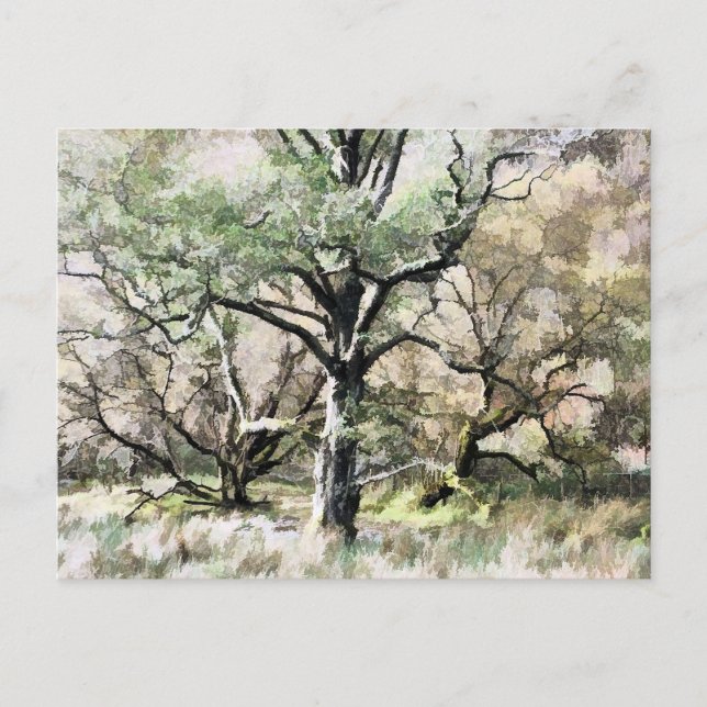 POSTAL ÁRBOLES (Anverso)