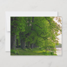 Postal Árboles
