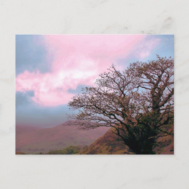 POSTAL ÁRBOLES (Anverso)