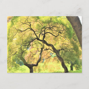 Postal árboles