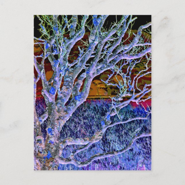 POSTAL ÁRBOLES (Anverso)