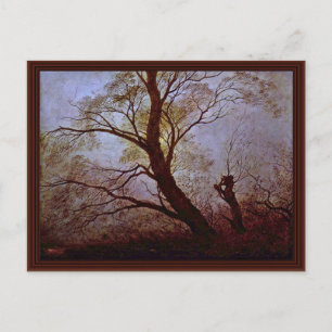 Postal Árboles A La Luz De La Luna De Friedrich Caspar Da