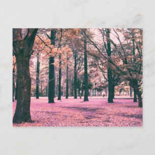 Postal Árboles afectados por el color en el Parque Yoyogi