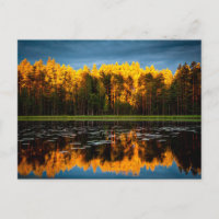 Árboles amarillos en un lago