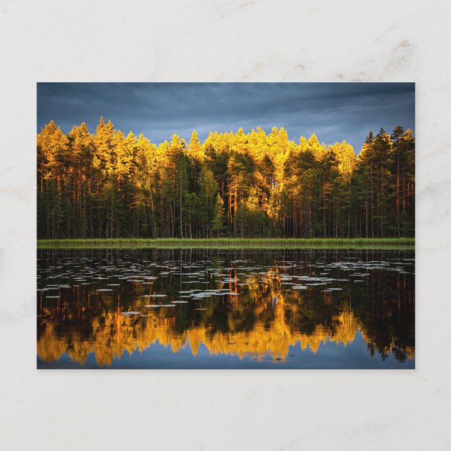Postal Árboles amarillos en un lago (Anverso)