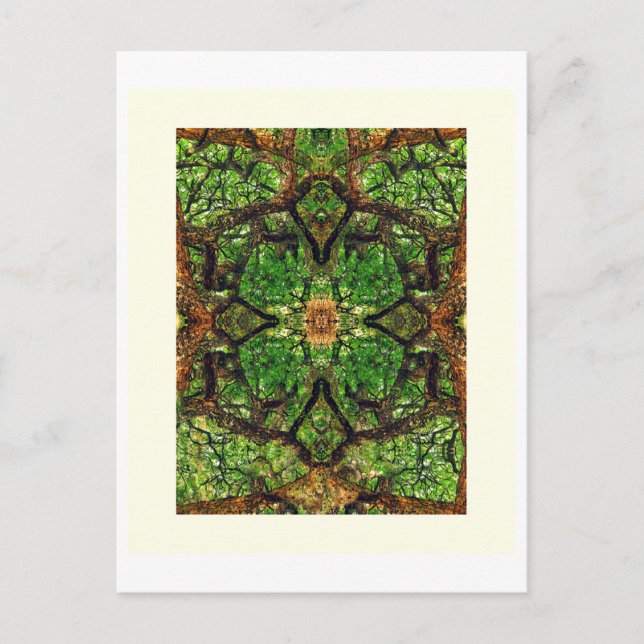 Postal ÁRBOLES AMBIDEXTEROS #66, Editar G, Petróleo. (Anverso)