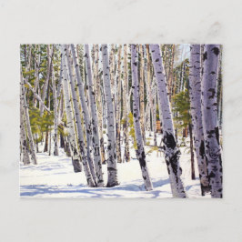 Postal Árboles ápicos en el bosque