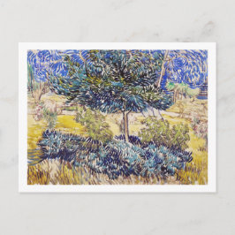 Postal Árboles Arbustos Asilo Jardín Vincent Van Gogh