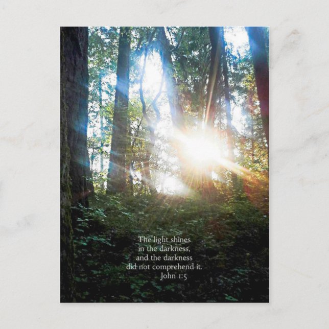 Postal Árboles Biblia cristiana contra escritura creacion (Anverso)