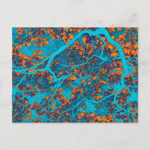 Postal Árboles coloridos azules y naranjas