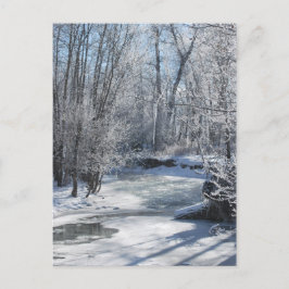 Postal Árboles cubiertos de nieve en corriente helada de