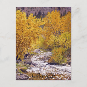 Postal Árboles de álamo de otoño colorido en Morrison Col