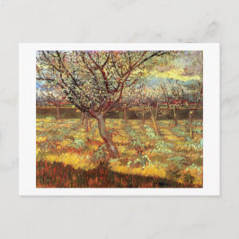 Postal Árboles de albaricoque en flor por Van Gogh