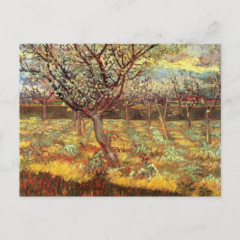Postal Árboles de albaricoque en flor por Van Gogh