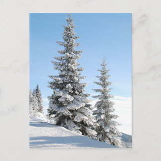 Postal Árboles de altura