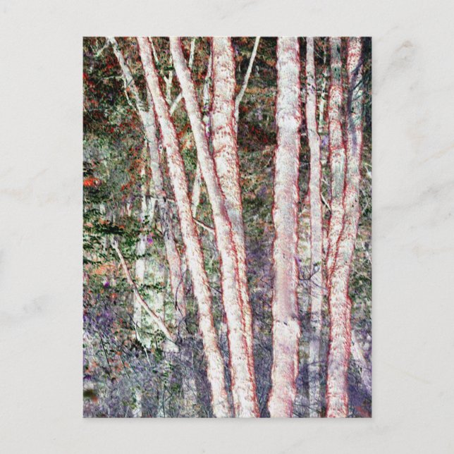 Postal Árboles de borde rojo (Anverso)