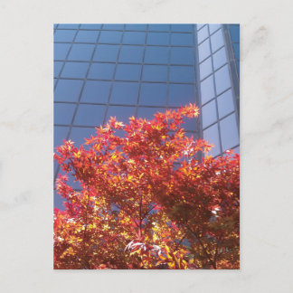 Postal Árboles de Brentwood y vidrio