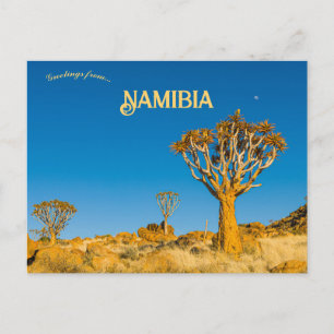 Postal Árboles de carcaj en Namibia