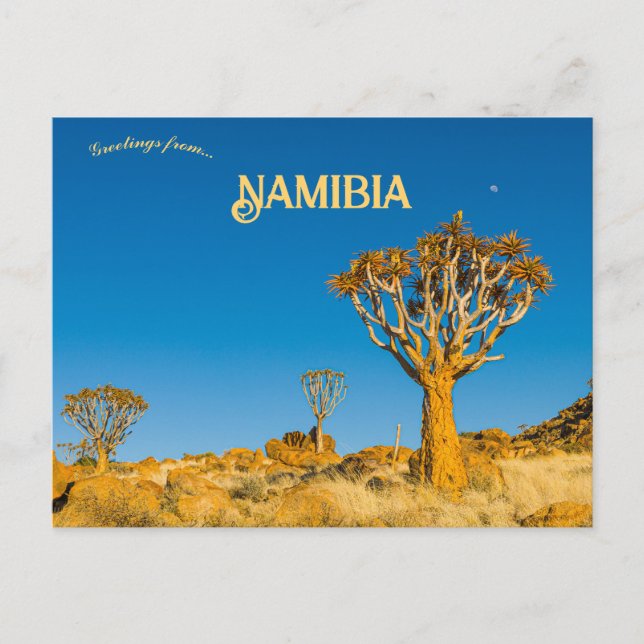 Postal Árboles de carcaj en Namibia (Anverso)
