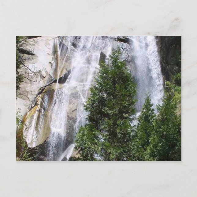 Postal Árboles de cascadas (Anverso)
