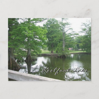 Postal Árboles de cipreses en el lago Reelfoot
