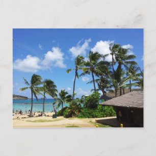 Postal Árboles de coco de Hawaii en la bahía de Hanauma