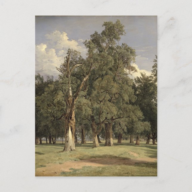 Postal Árboles de elmo en Prater, 1831 (Anverso)