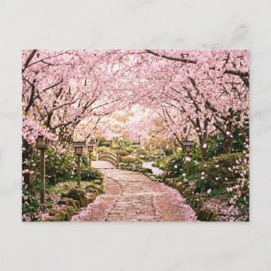 Postal Árboles de flor de cerezo