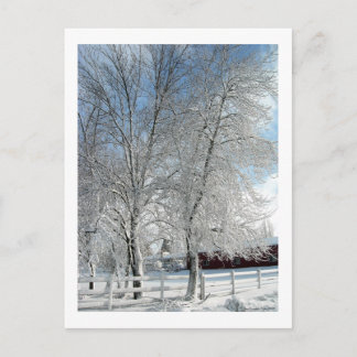 Postal Árboles de invierno