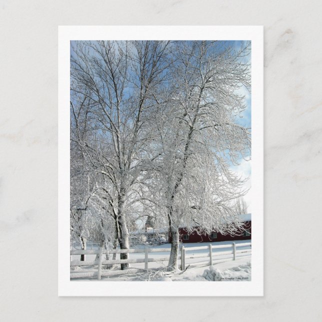 Postal Árboles de invierno (Anverso)