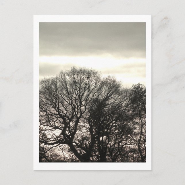 Postal Árboles de invierno: Cheshire (Anverso)