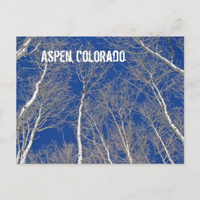 Postal Árboles de invierno en Aspen, Colorado (Anverso)